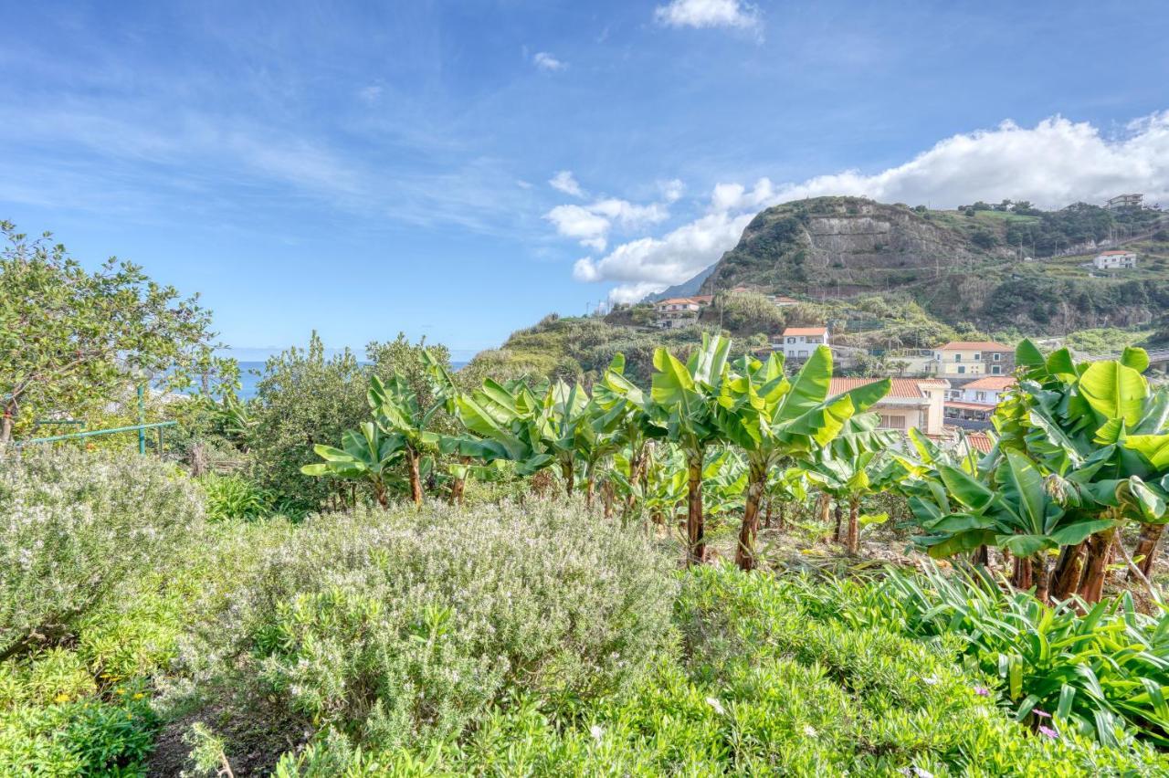 Quinta Da Vila Porto da Cruz Kültér fotó